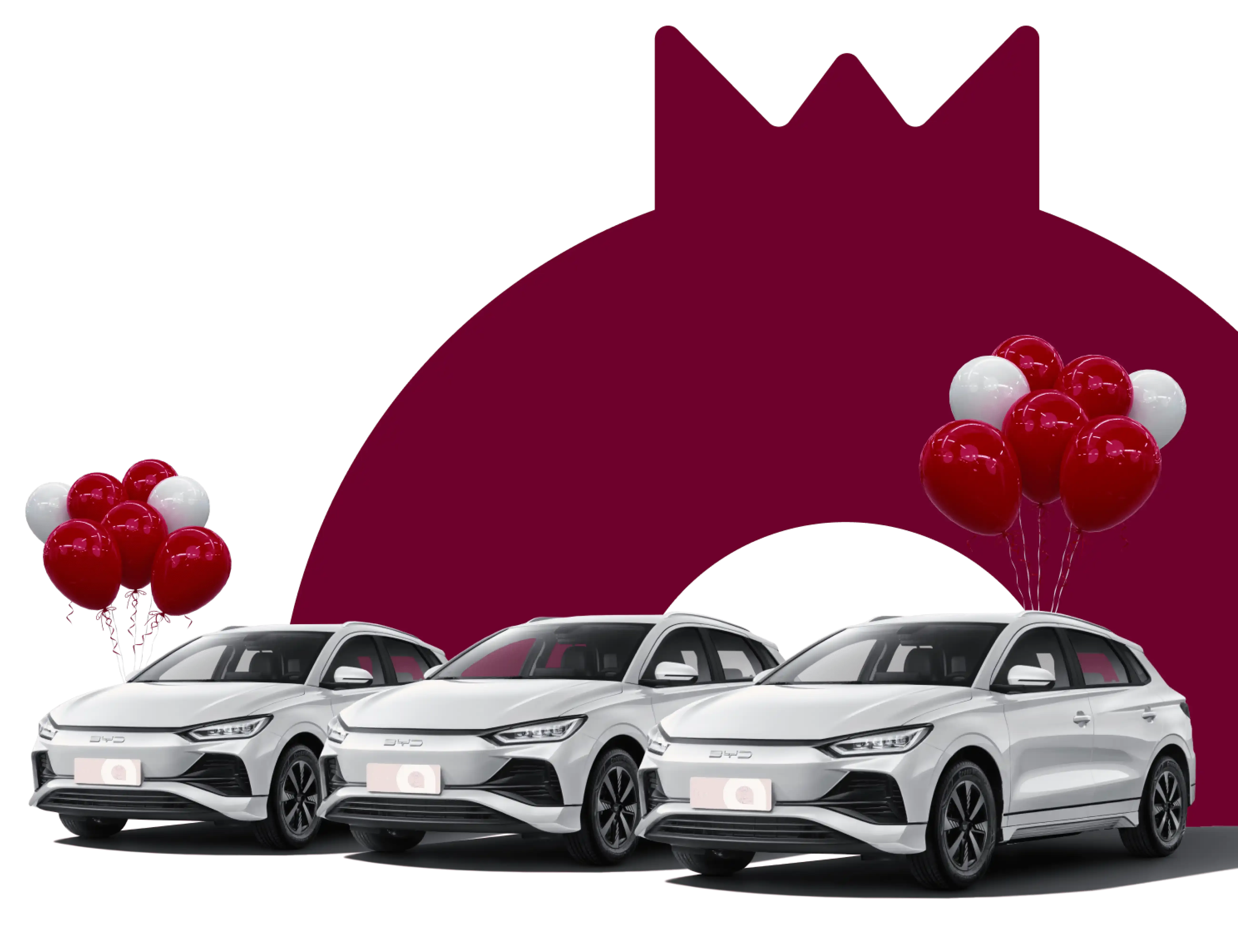 Promotion "Bayramona"