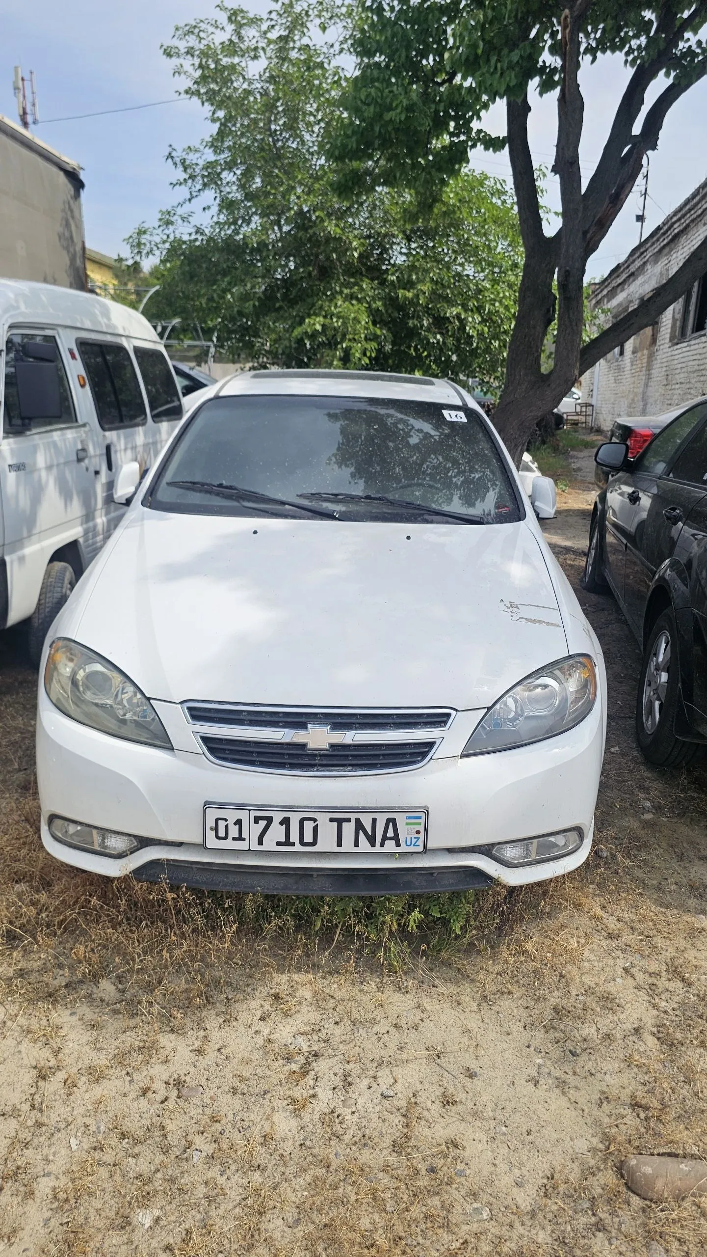 LACETTI Lot raqami: 0005980