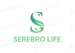 SEREBRO SERVICE