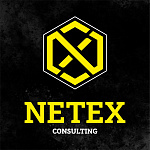 NETEX CONSULTING