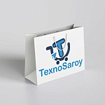 TexnoSaroy 