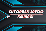 Diyorbek Elektronik